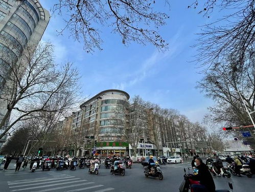 郑州市天气预报7天查-郑州市天气预报7天-第1张图片-雾华天气