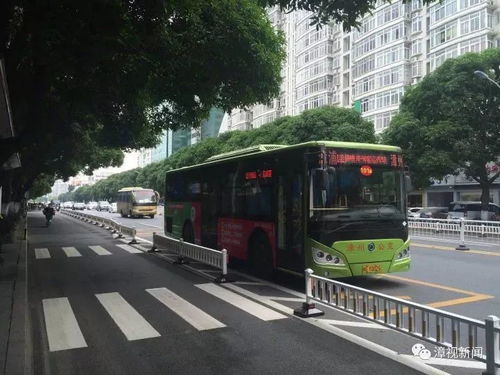 深圳公交车道限行时间-深圳公交车道限行时间几点到几点结束-第3张图片-雾华天气