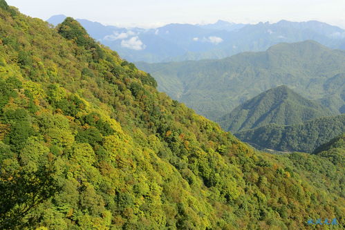 岚皋天气预报15天查-岚皋天气预报15天-第2张图片-雾华天气