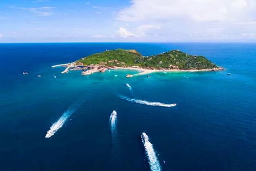 海南岛天气预报一周15天-海南岛最新天气预报一周-第2张图片-雾华天气