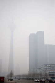 天津限号今日限行-天津限号今日限行查询-第1张图片-雾华天气