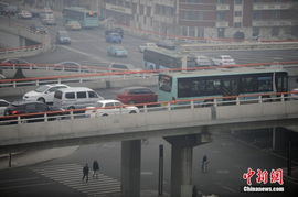 天津今日限行尾号查询2023年-天津今日限行尾号-第2张图片-雾华天气