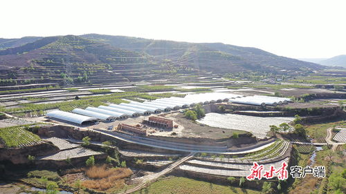 静宁天气预报15天天气-静宁天气预报一周-第1张图片-雾华天气