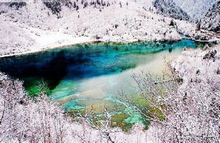 九寨沟黄龙天气预报15天准确率-九寨沟黄龙天气预报-第2张图片-雾华天气