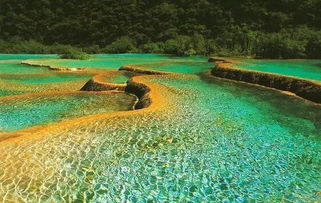 九寨沟未来15天天气-九寨沟黄龙天气预报-第3张图片-雾华天气