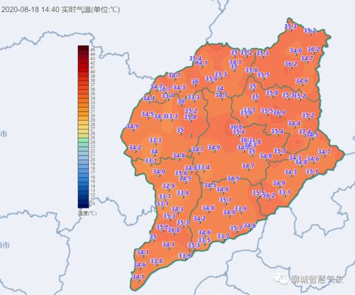 聊城天气预报15天查询一周天气预报-山东聊城天气预报15天查询-第2张图片-雾华天气