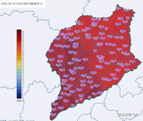 聊城天气预报15天查询一周天气预报-山东聊城天气预报15天查询-第1张图片-雾华天气