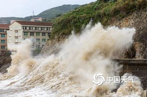 温州天气台风网台风路径-温州天气台风网-第3张图片-雾华天气