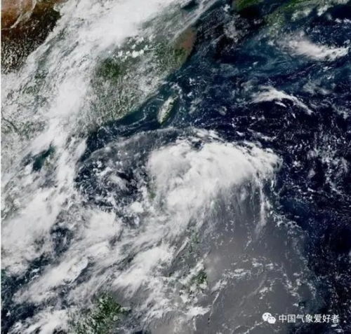 温州天气台风网台风路径-温州天气台风网-第2张图片-雾华天气