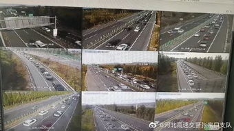 武安今天限什么号2021-武安今天限号是多少-第2张图片-雾华天气